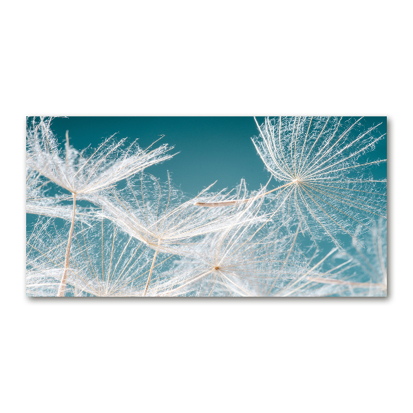 Foto en cristal de alta calidad con impresión uv horizontal semillas de diente de león