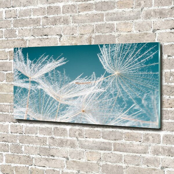 Foto en cristal de alta calidad con impresión uv horizontal semillas de diente de león