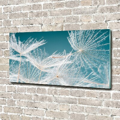 Foto en cristal de alta calidad con impresión uv horizontal semillas de diente de león