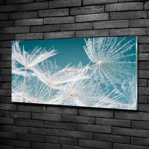 Foto en cristal de alta calidad con impresión uv horizontal semillas de diente de león