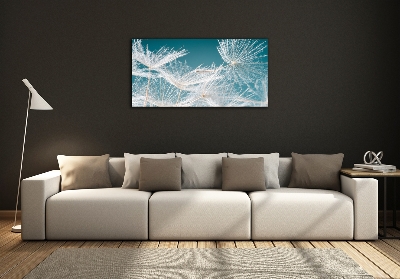 Foto en cristal de alta calidad con impresión uv horizontal semillas de diente de león