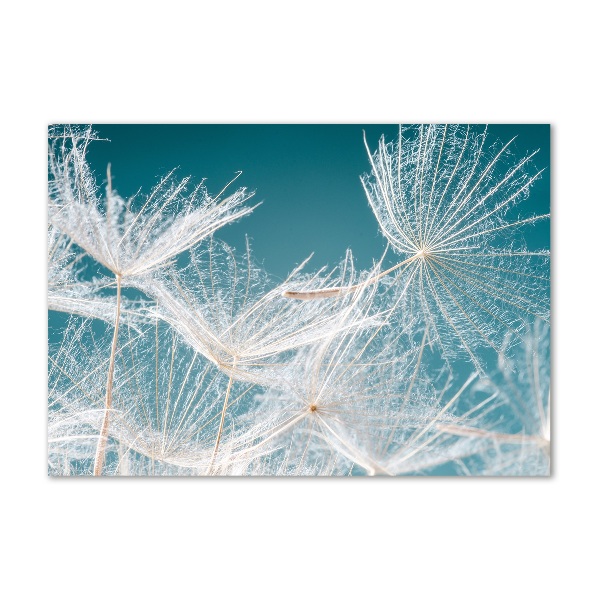 Foto en cristal de alta calidad con impresión uv horizontal semillas de diente de león