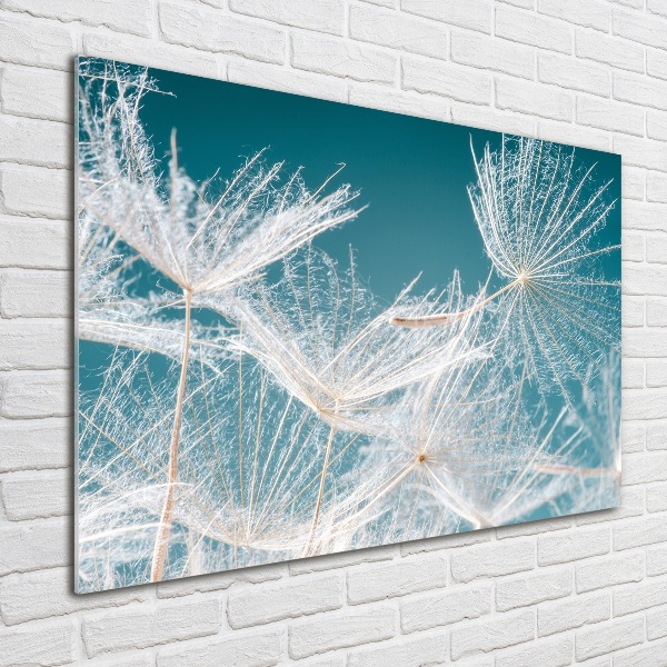 Foto en cristal de alta calidad con impresión uv horizontal semillas de diente de león