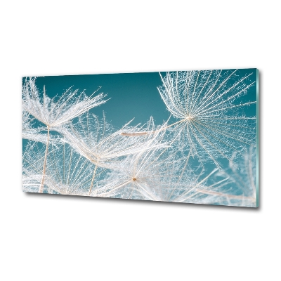 Foto en cristal de alta calidad con impresión uv horizontal semillas de diente de león