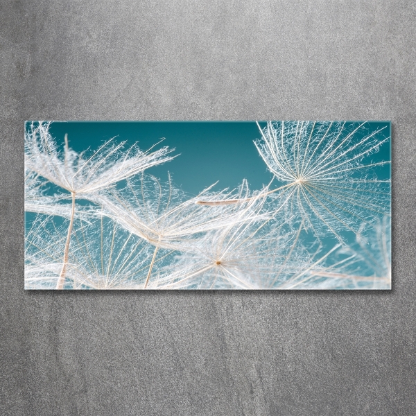 Foto en cristal de alta calidad con impresión uv horizontal semillas de diente de león