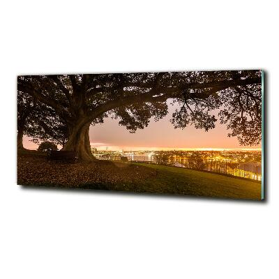 Foto en cristal de alta calidad con impresión uv horizontal Árbol viejo