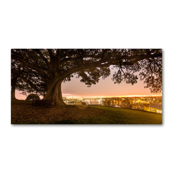 Foto en cristal de alta calidad con impresión uv horizontal Árbol viejo