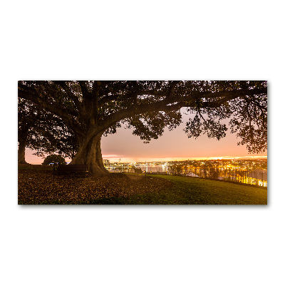 Foto en cristal de alta calidad con impresión uv horizontal Árbol viejo