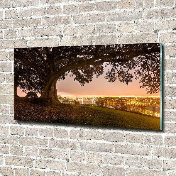 Foto en cristal de alta calidad con impresión uv horizontal Árbol viejo