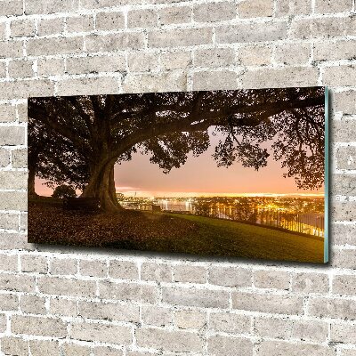 Foto en cristal de alta calidad con impresión uv horizontal Árbol viejo