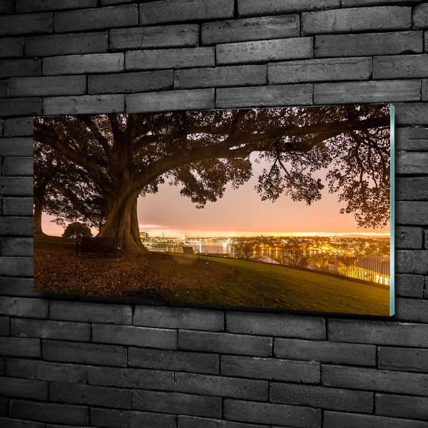 Foto en cristal de alta calidad con impresión uv horizontal Árbol viejo