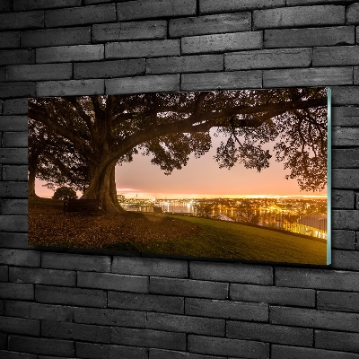 Foto en cristal de alta calidad con impresión uv horizontal Árbol viejo