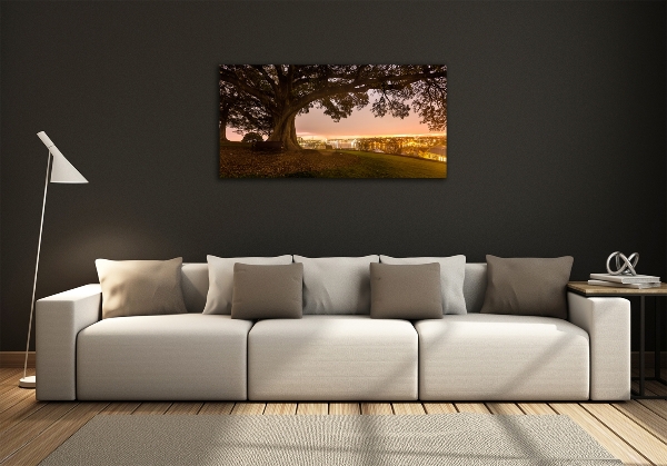 Foto en cristal de alta calidad con impresión uv horizontal Árbol viejo