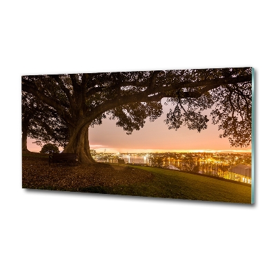 Foto en cristal de alta calidad con impresión uv horizontal Árbol viejo