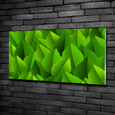 Impresión en cristal con acabado brillante horizontal hojas verdes