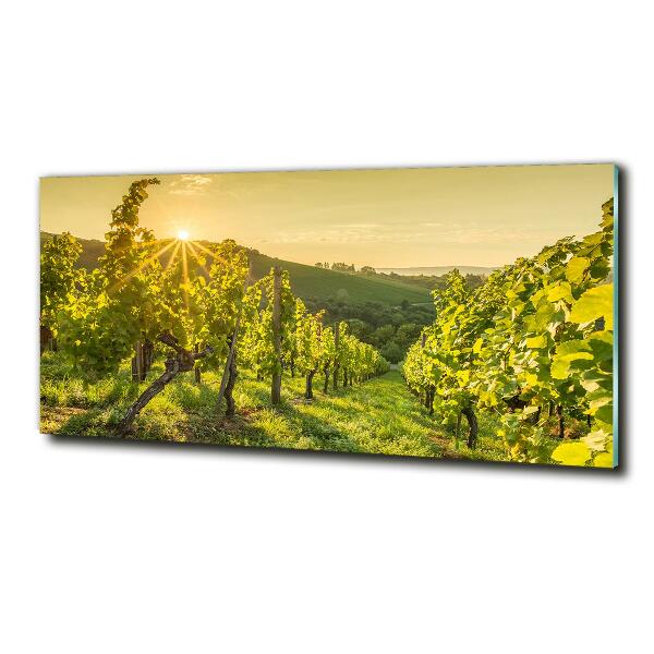 Cuadro decorativo de vidrio para salón horizontal Viñedo