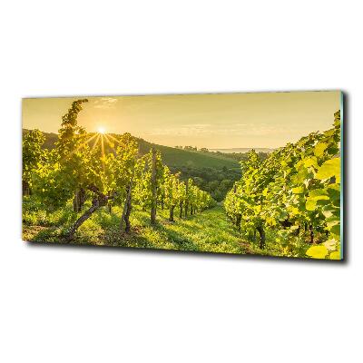 Cuadro decorativo de vidrio para salón horizontal Viñedo