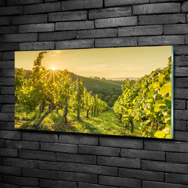 Cuadro decorativo de vidrio para salón horizontal Viñedo