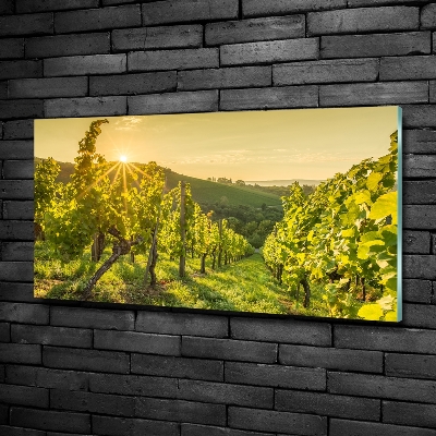 Cuadro decorativo de vidrio para salón horizontal Viñedo