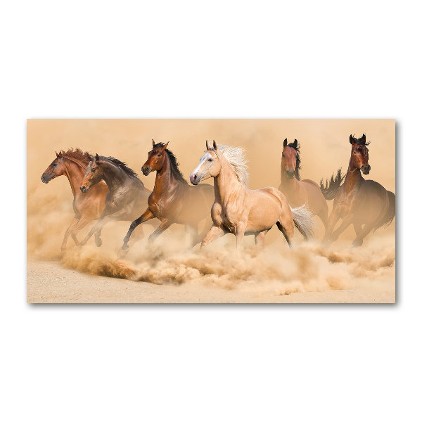 Cuadro decorativo de vidrio para salón horizontal Caballos del desierto