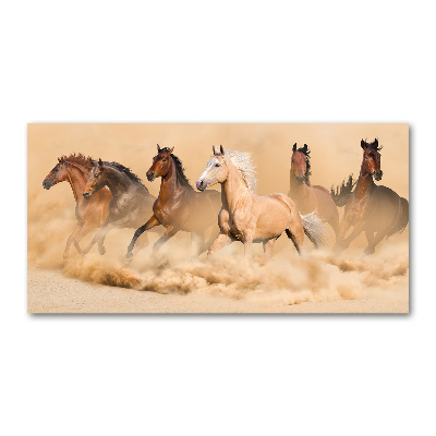 Cuadro decorativo de vidrio para salón horizontal Caballos del desierto
