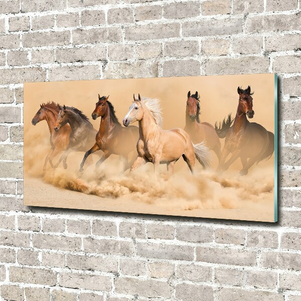 Cuadro decorativo de vidrio para salón horizontal Caballos del desierto