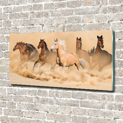 Cuadro decorativo de vidrio para salón horizontal Caballos del desierto