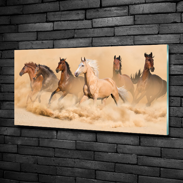 Cuadro decorativo de vidrio para salón horizontal Caballos del desierto