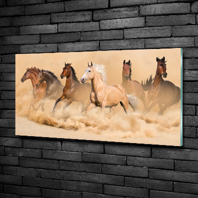 Cuadro decorativo de vidrio para salón horizontal Caballos del desierto