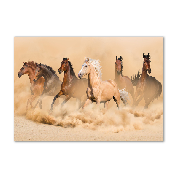 Cuadro decorativo de vidrio para salón horizontal Caballos del desierto