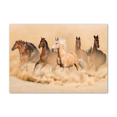 Cuadro decorativo de vidrio para salón horizontal Caballos del desierto