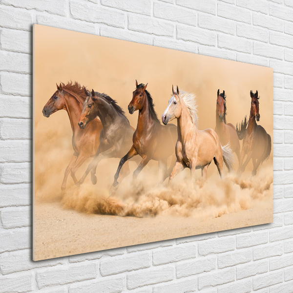 Cuadro decorativo de vidrio para salón horizontal Caballos del desierto