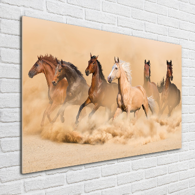 Cuadro decorativo de vidrio para salón horizontal Caballos del desierto