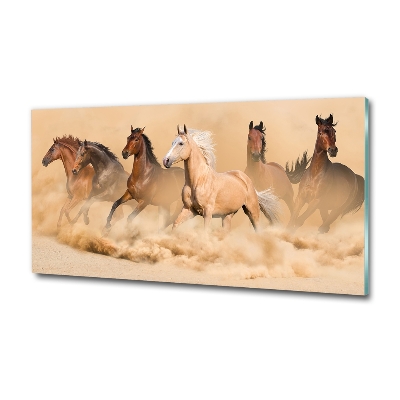 Cuadro decorativo de vidrio para salón horizontal Caballos del desierto