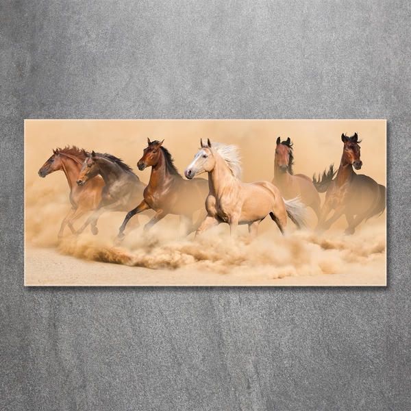 Cuadro decorativo de vidrio para salón horizontal Caballos del desierto