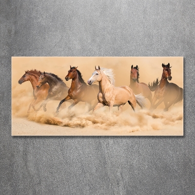 Cuadro decorativo de vidrio para salón horizontal Caballos del desierto