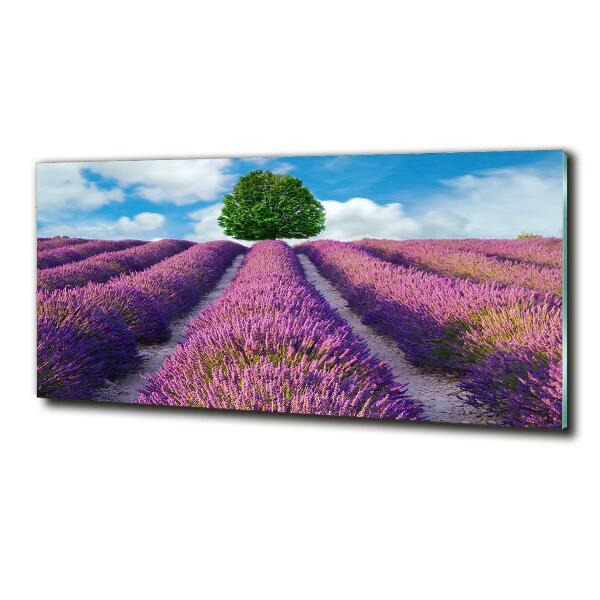 Cuadro de cristal templado moderno horizontal campo de lavanda