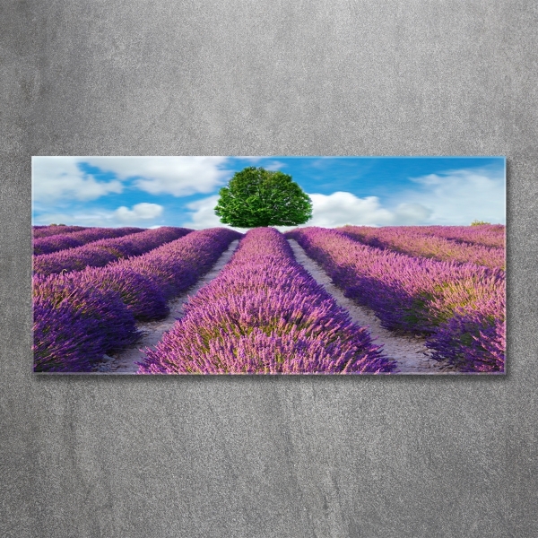 Cuadro de cristal templado moderno horizontal campo de lavanda
