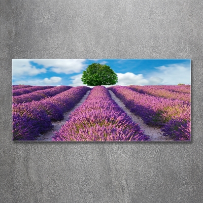 Cuadro de cristal templado moderno horizontal campo de lavanda