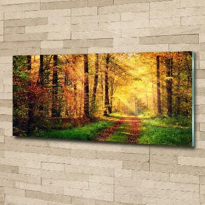 Cuadro decorativo de vidrio para salón horizontal Bosque en otoño