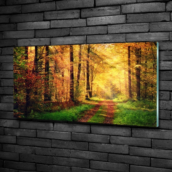 Cuadro decorativo de vidrio para salón horizontal Bosque en otoño