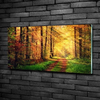 Cuadro decorativo de vidrio para salón horizontal Bosque en otoño