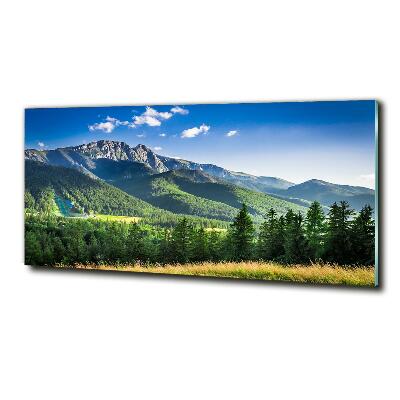 Impresión en cristal con acabado brillante horizontal Salto de esquí en los montes Tatra