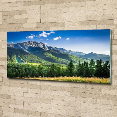 Impresión en cristal con acabado brillante horizontal Salto de esquí en los montes Tatra