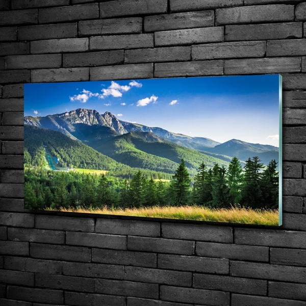 Impresión en cristal con acabado brillante horizontal Salto de esquí en los montes Tatra