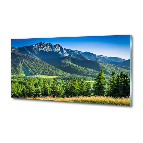 Cuadro decorativo de vidrio para salón horizontal Salto de esquí en los montes Tatra