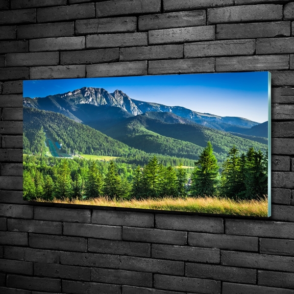 Cuadro decorativo de vidrio para salón horizontal Salto de esquí en los montes Tatra