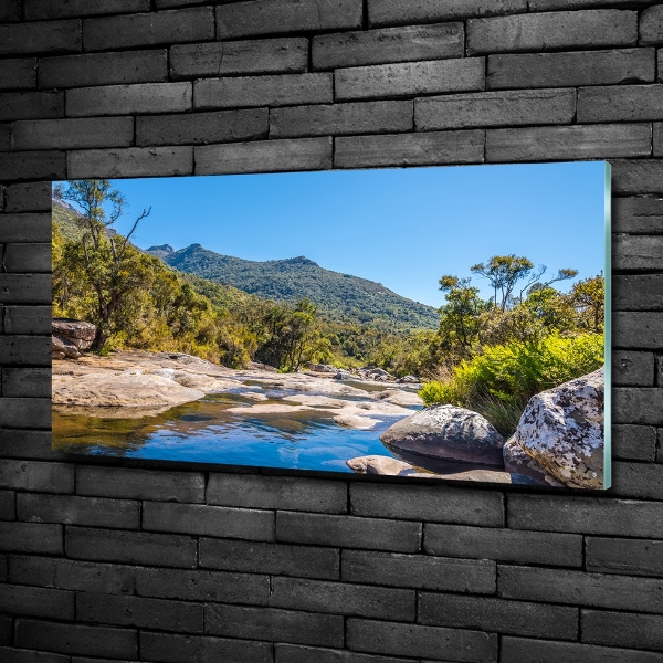 Foto en cristal de alta calidad con impresión uv horizontal Río en el bosque