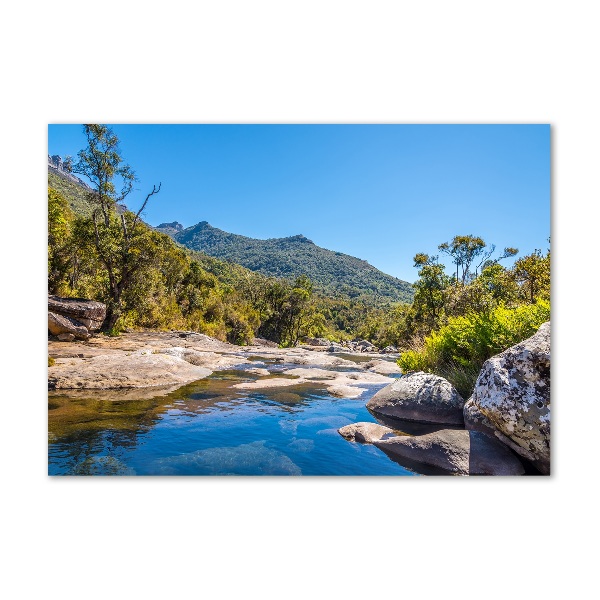 Foto en cristal de alta calidad con impresión uv horizontal Río en el bosque