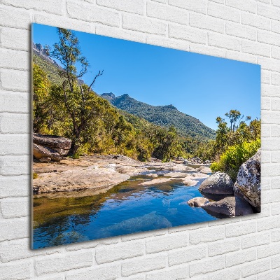 Foto en cristal de alta calidad con impresión uv horizontal Río en el bosque